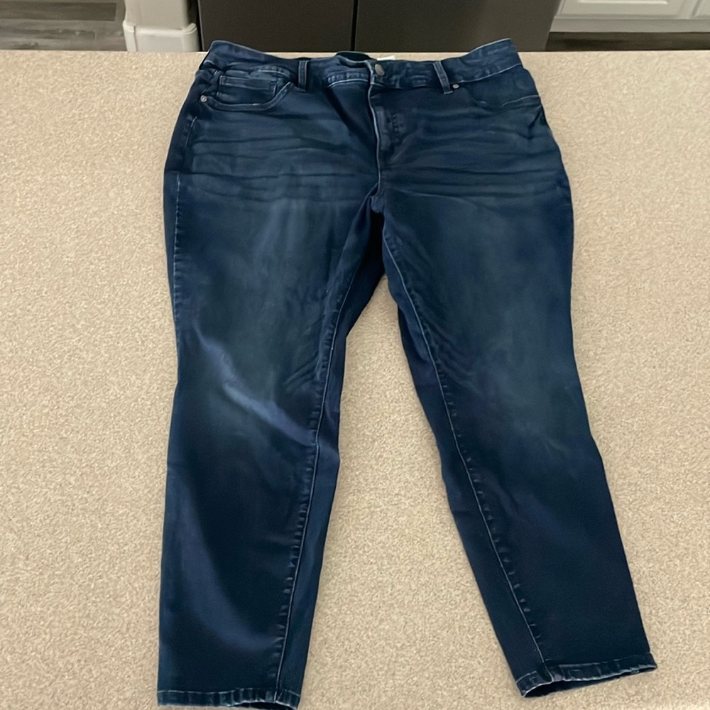 .women’s terra and sky size 20 petite skinny jeans